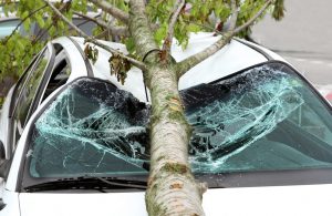 Den Winddruck kennen wir aus eigenen Erfahrungen. Man geht gegen den Wind und kommt kaum voran. Doch welche Windstärke ist für Windkraftanlagen gefährlich? Für Lkw? Für  Flugzeuge? Für Schiffe? (#2)