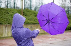 Der Windsog ist oft noch viel gefährlicher als der Winddruck. Doch welche Windstärke ist wirklich gefährlich? (#1)