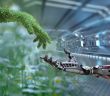 Frankreich plant den Aufbau einer nachhaltigen Industrie mit Fokus auf (Foto: AdobeStock - willyam 297885276)