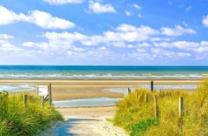 Französischer Windpark: Belgische Klage abgewiesen (Foto: AdobeStock - Flaviu Boerescu 507617835)