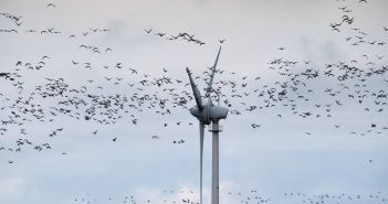 Infraschall von Windrädern macht nicht krank - Mythos (Foto: AdobeStock 387815483 kranidi)